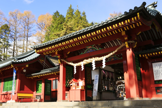日光山中禅寺 立木観音